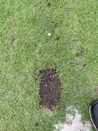 a person standing next to a hole in the grass